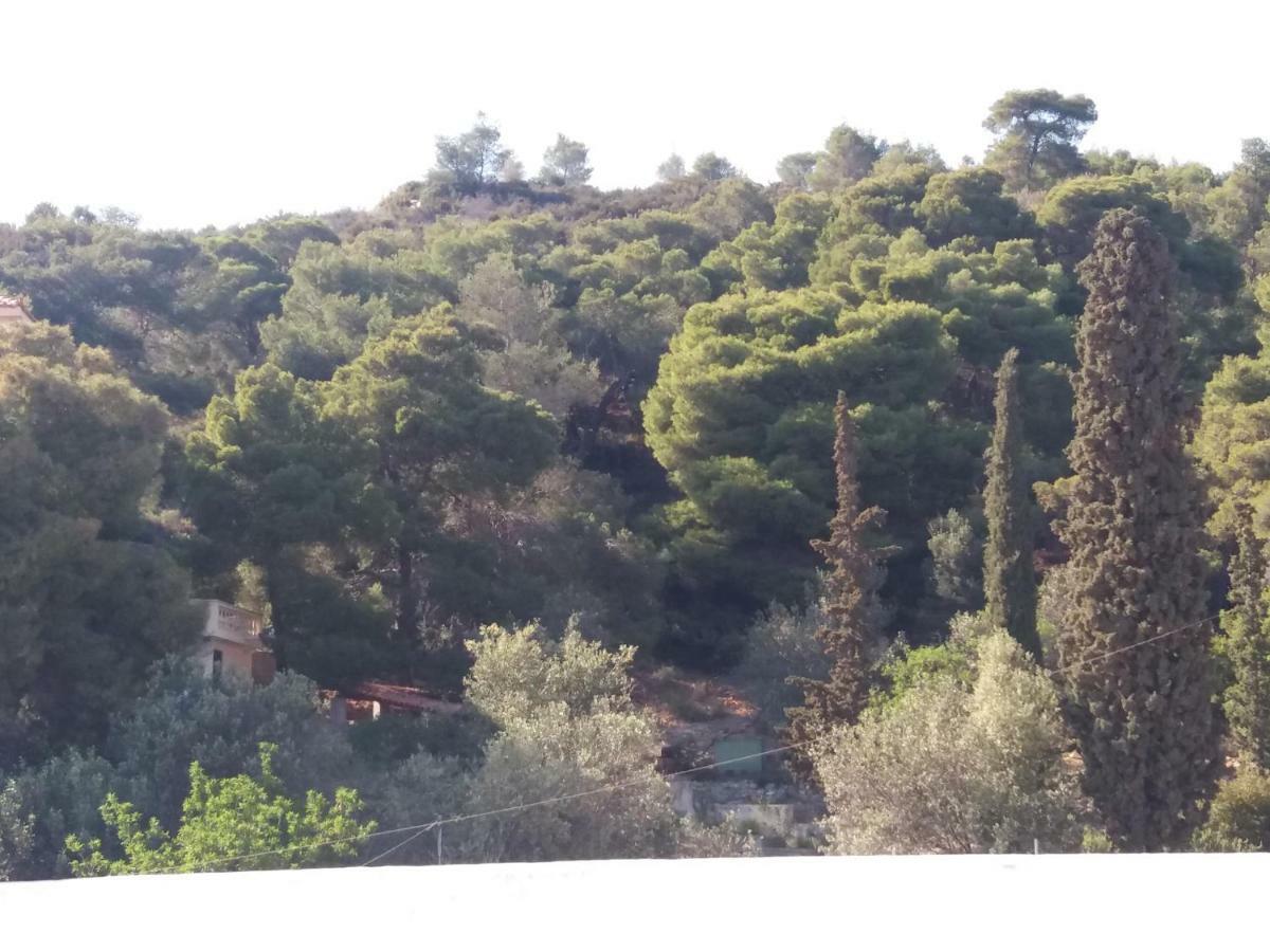 Forest & Sea Apartment Poros Town Екстер'єр фото
